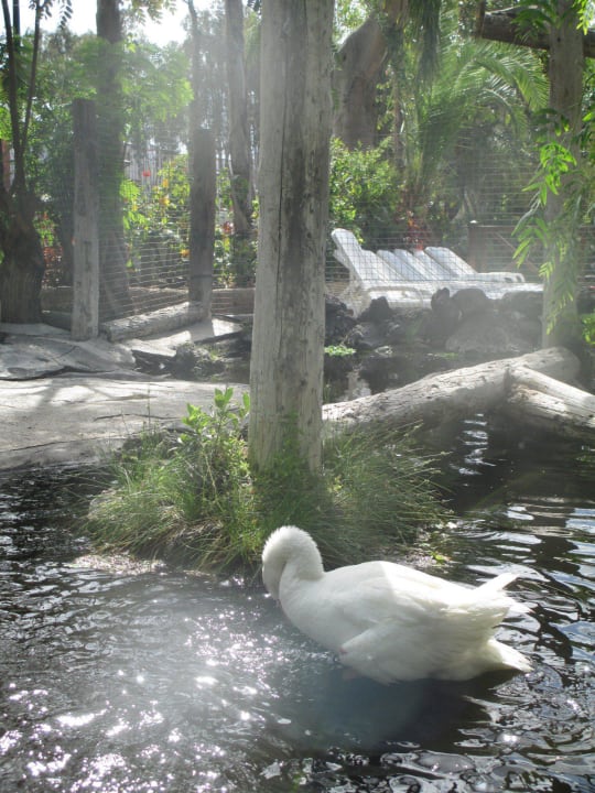 Badet  Park Club Europe