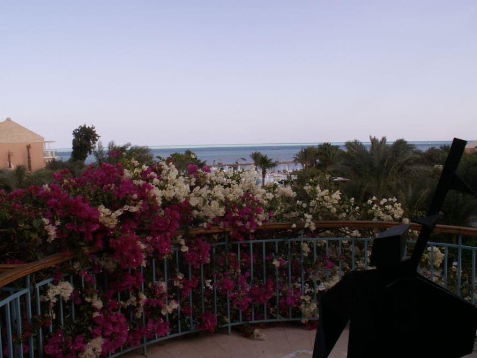 Blick von der Eingangshalle Richtung Meer Mövenpick Resort & Spa El Gouna