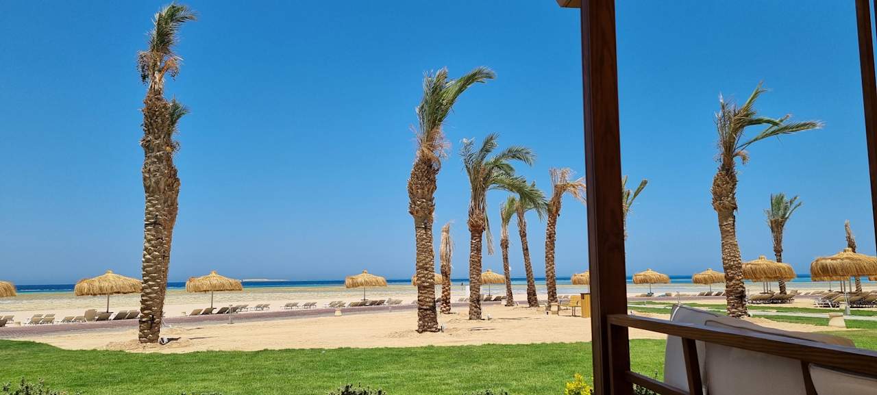 Gastro JAZ Elite Asteria