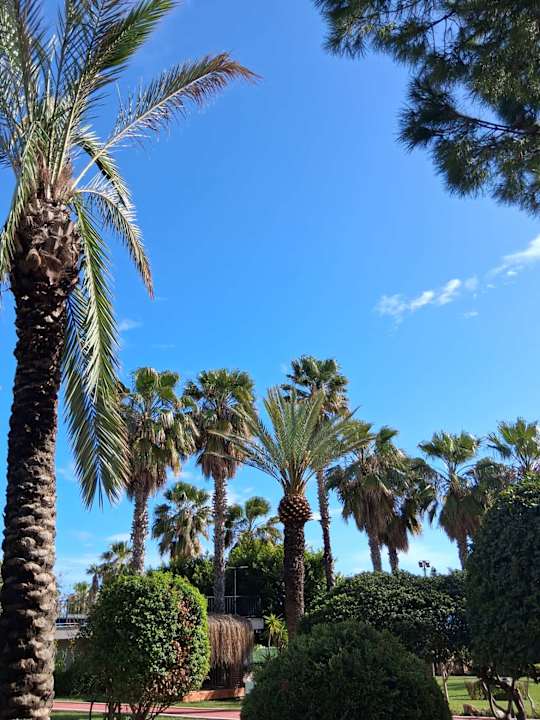 Gartenanlage Hotel Terrace Beach Resort