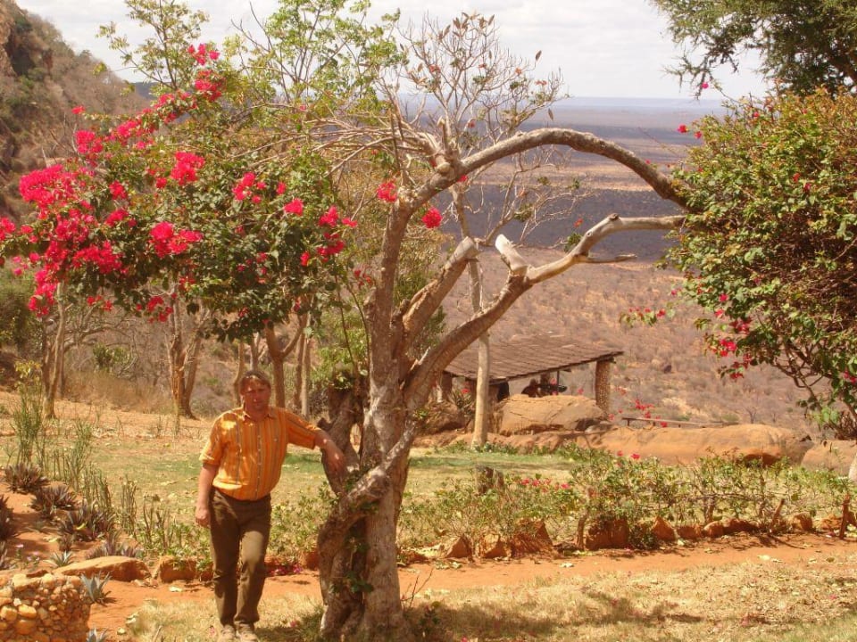 Ngulia Lodge Ngulia Safari Lodge