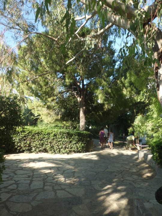 Gartenanlage Apollonia Beach Resort & Spa