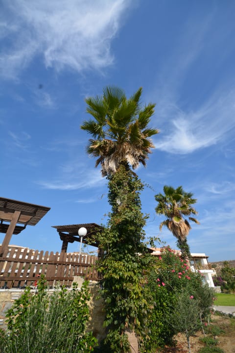 Gartenanlage Grand Blue Beach Hotel