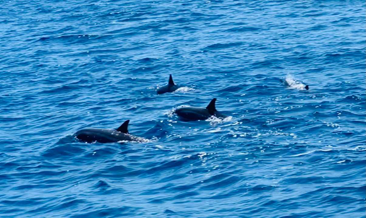 Sport & Freizeit Machchafushi Island Resort & Spa Maldives, The Centara Collection