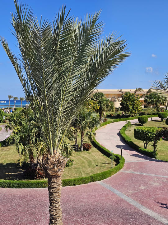Gartenanlage Cleopatra Luxury Resort Makadi Bay
