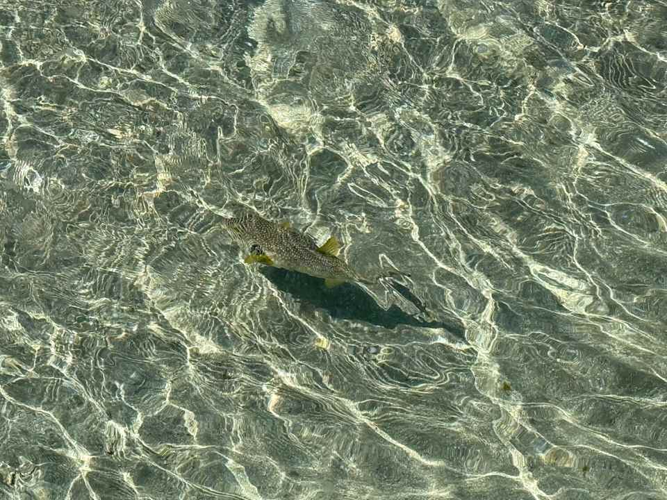 Strand Stella Beach Resort & Spa Makadi Bay