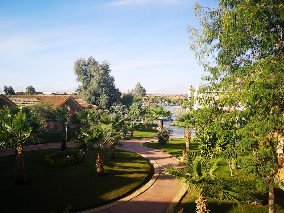 Ausblick Pickalbatros Jungle Aqua Park Resort - Neverland Hurghada