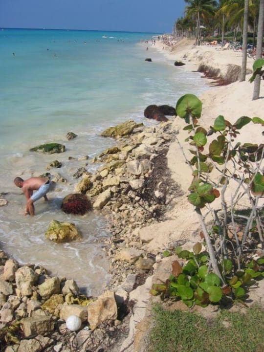 Strand 2 Hotel Riu Palace Mexico