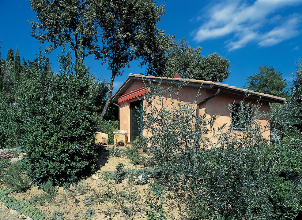 Begonia Holiday Apartment - olive trees - Il Borraccio Villa Il Borraccio