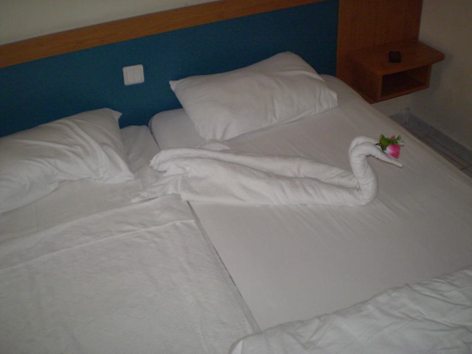 Aska Hotel Kleopatra Beste Hotel Aslan City Kleopatra