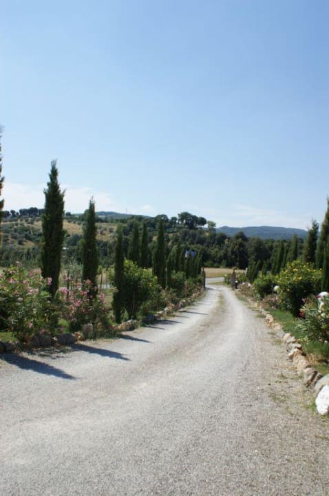 Auffahrt zum Hotel Hotel Antico Borgo Il Cardino