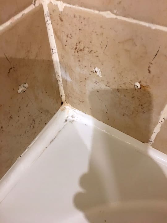 Zimmer Malikia Resort Abu Dabbab