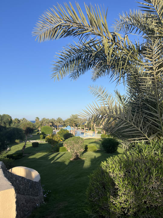 Pool Serenity Alpha Beach