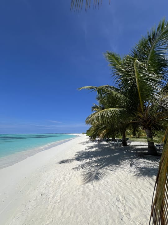 Strand Meeru Maldives Resort Island