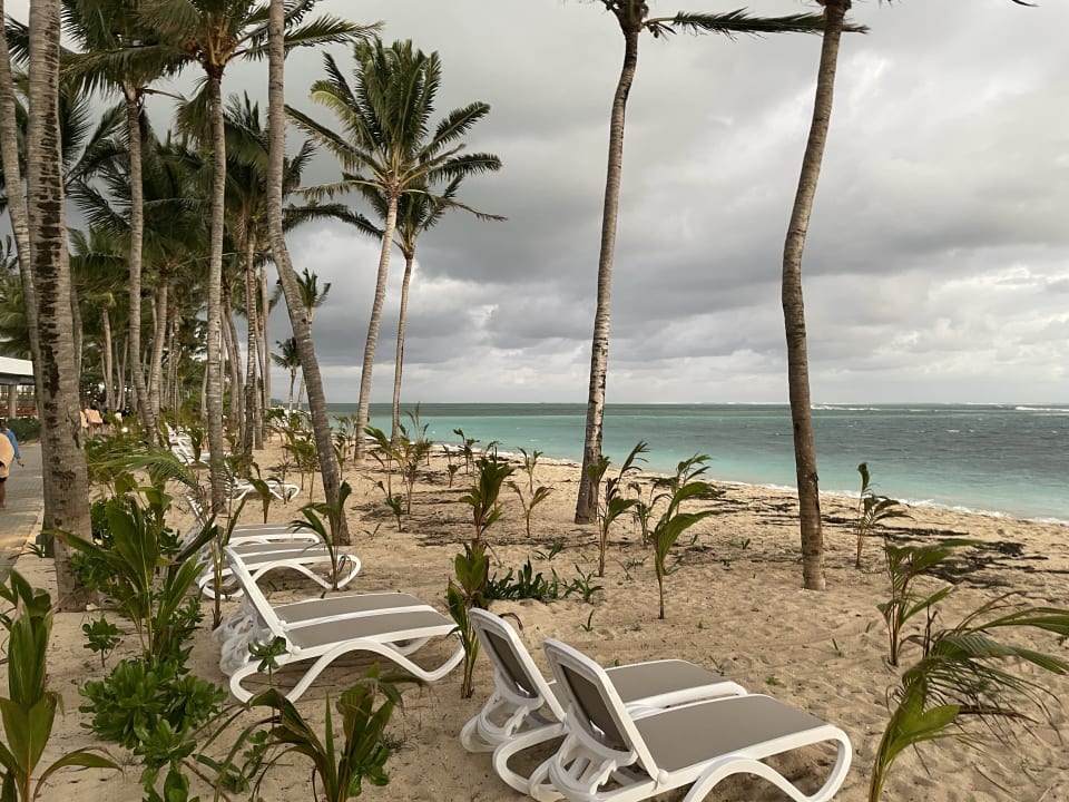 Strand Hotel Riu Turquoise