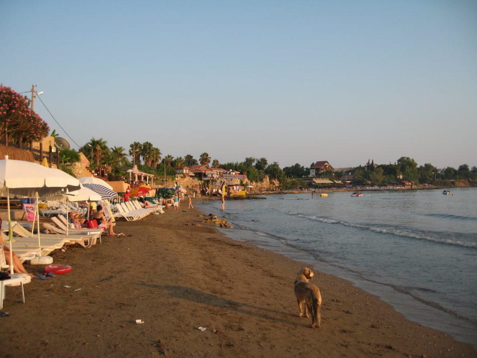 Blick Richtung Side Trendy Side Beach Hotel - Adults only