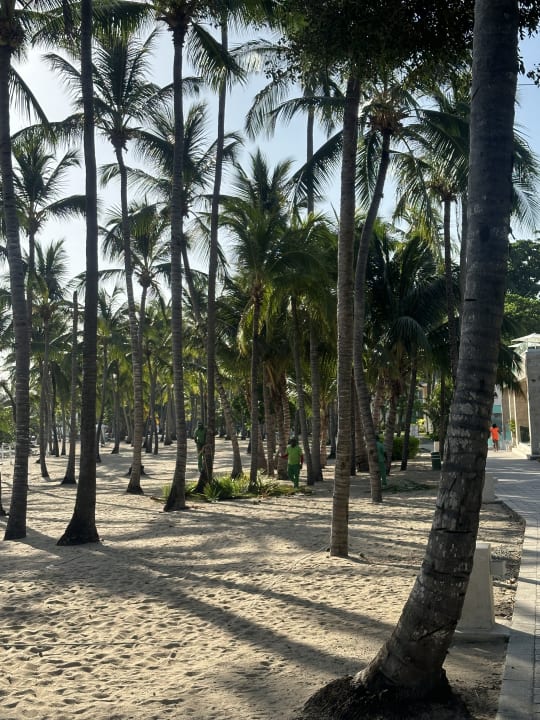 Strand Senator Puerto Plata Hotel