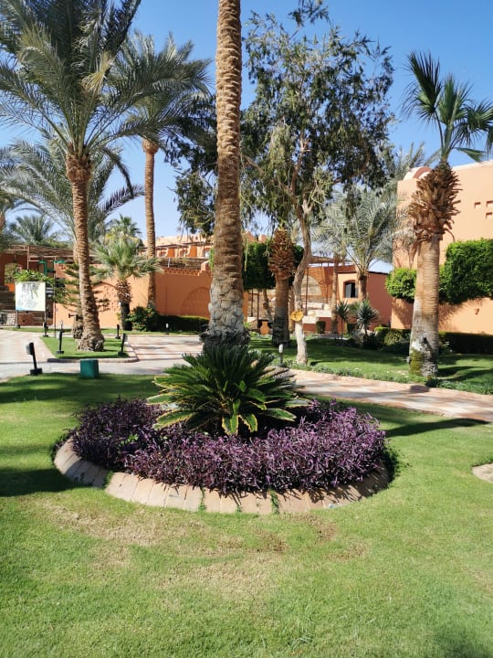 Gartenanlage Jaz Makadi Oasis Resort
