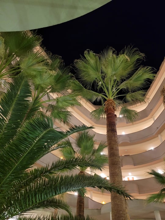 Außenansicht allsun App.-Hotel Orient Beach