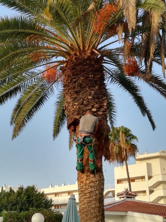 Gartenanlage HL Miraflor Suites Hotel