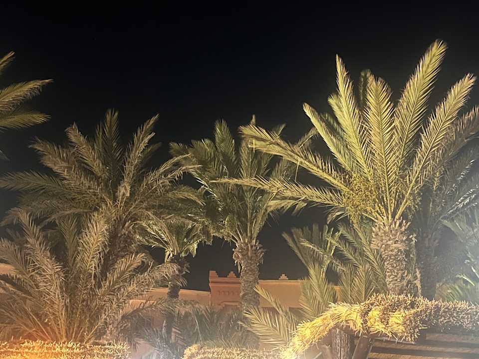 Gartenanlage Vincci Safira Palms