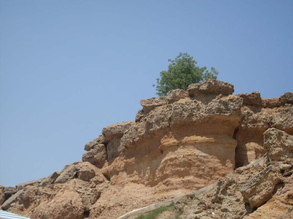 Steilküste am Strand Albatros Sharm Resort