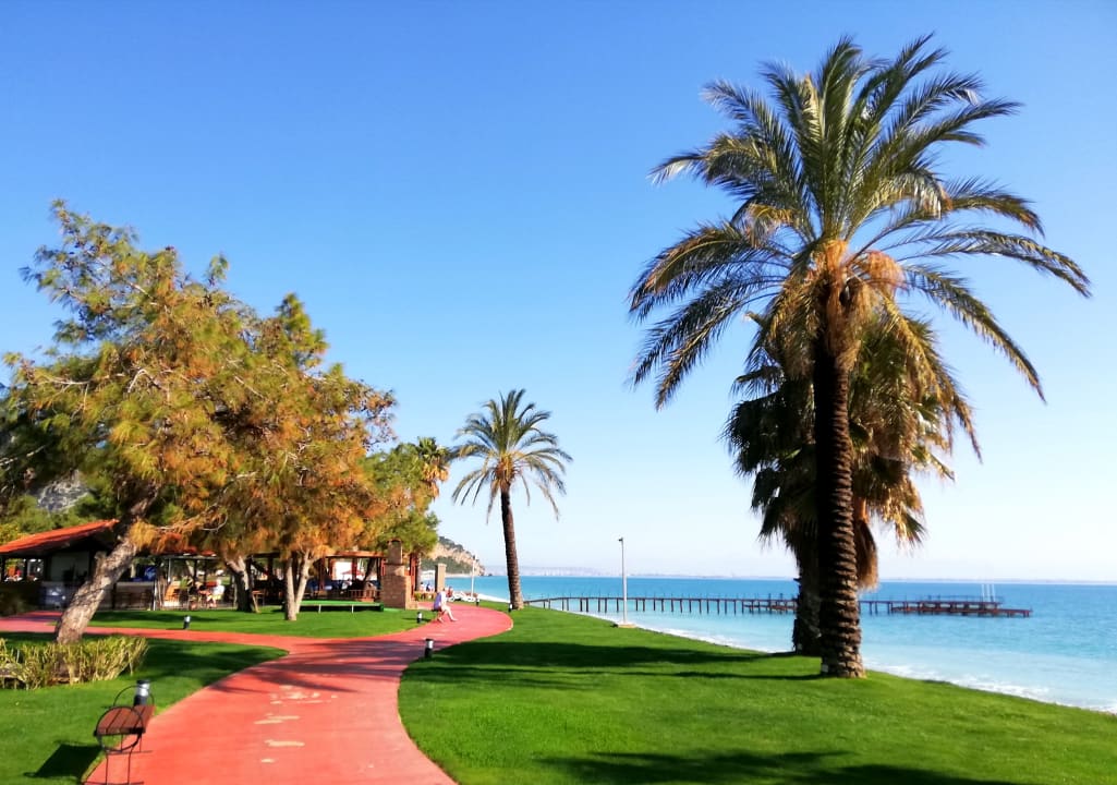 Gartenanlage TUI MAGIC LIFE Beldibi +16