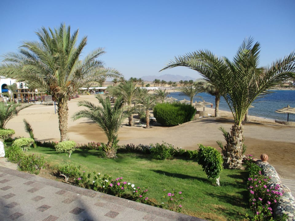 Gartenanlage Coral Sun Beach