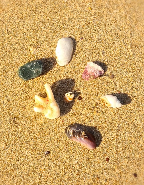 Strand Coral Sun Beach