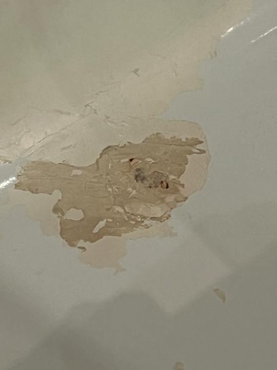 Zimmer Sandy Beach Resort