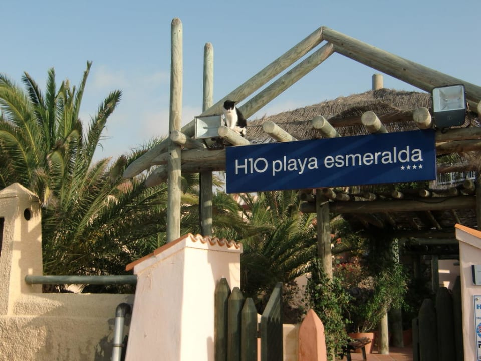 Ausgang zum Meer H10 Playa Esmeralda - Adults only