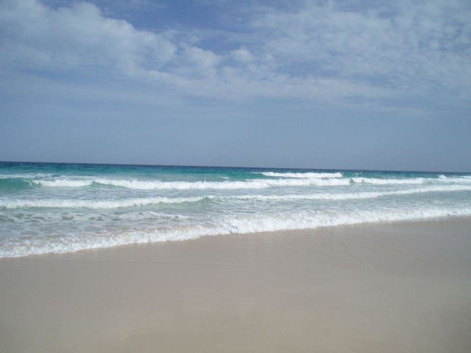 Strandabschnitt direkt vor dem Hotel Hotel Riu Oliva Beach Resort