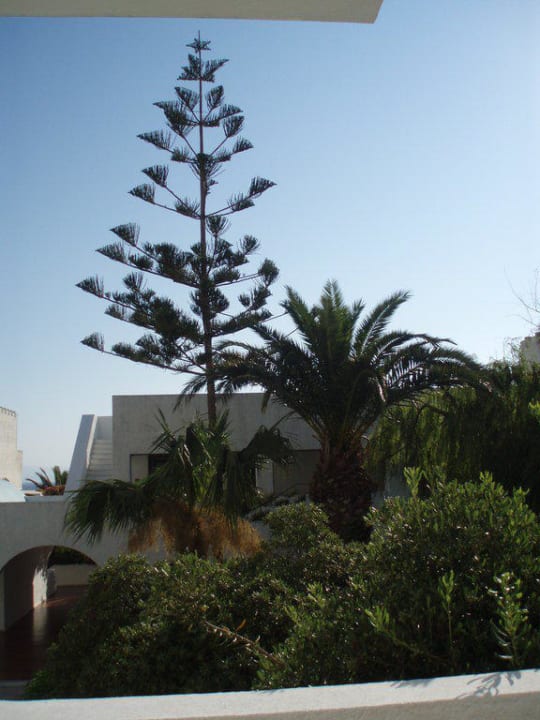 Ausblick vom Balkon TUI BLUE Oceanis Beach and Spa Resort