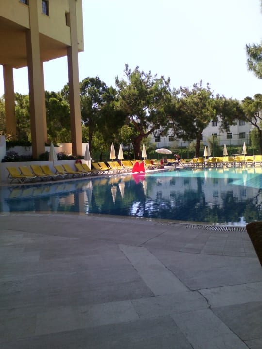 Pool Asteria Collection Side