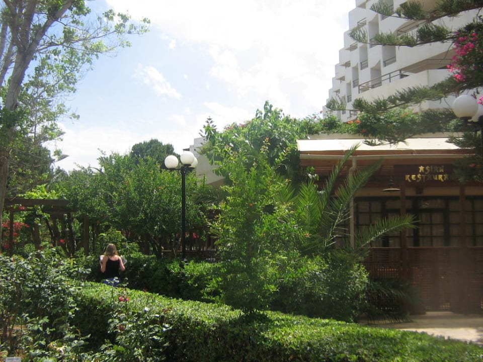 Richtung Restaurant Apollonia Beach Resort & Spa