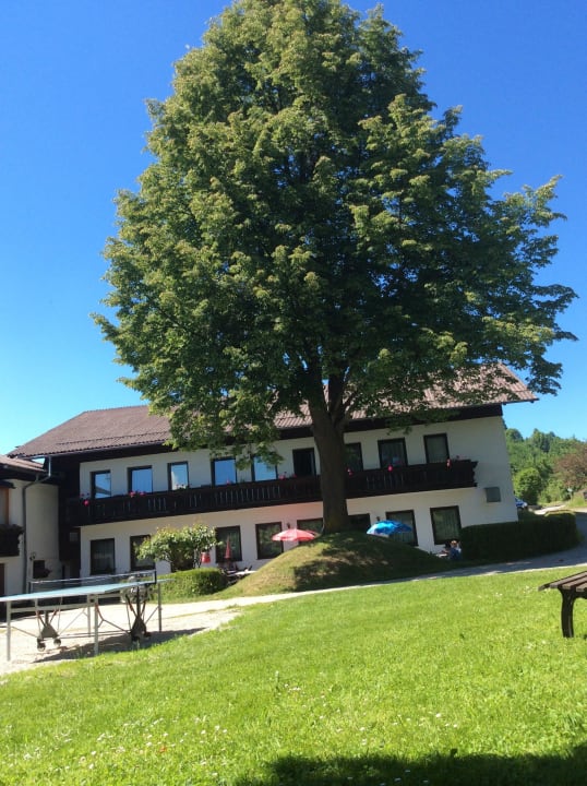 Von der Liegewiese zum Gasthof Gasthof Binder