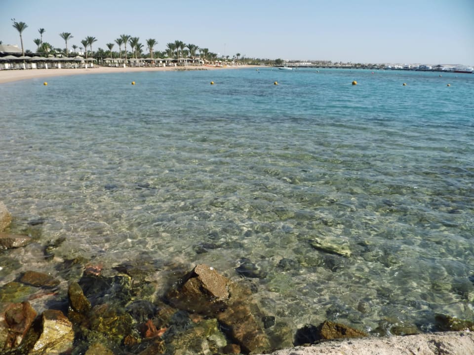 Steigenberger Aqua Magic Steigenberger Aqua Magic