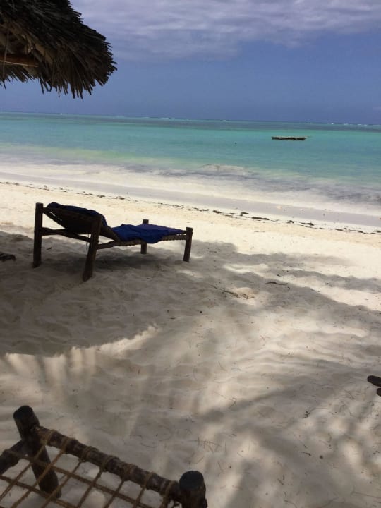 Traumhaft TUI Blue Bahari Zanzibar