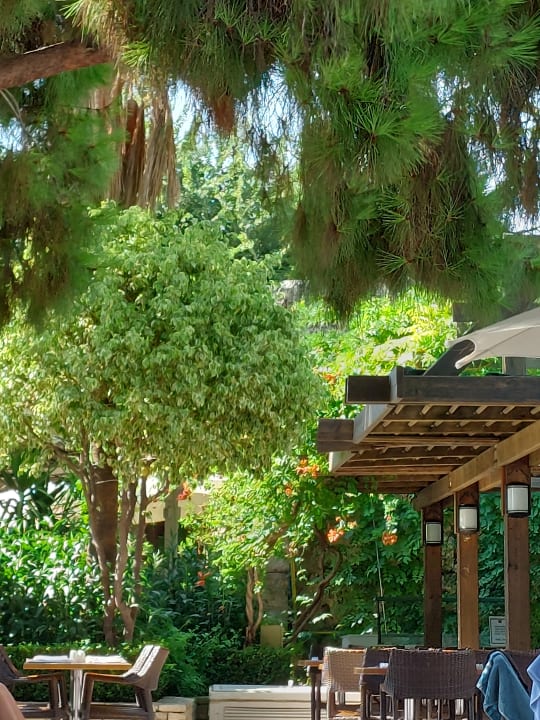 Gartenanlage Trendy Side Beach Hotel - Adults only