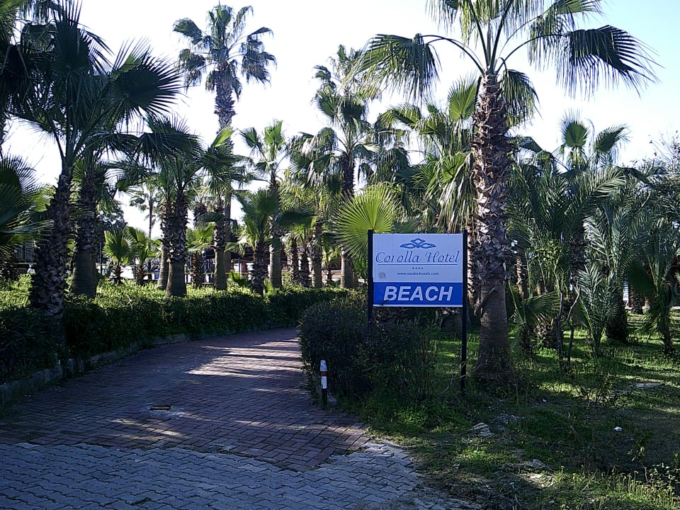 Garten Seaden Corolla Hotel