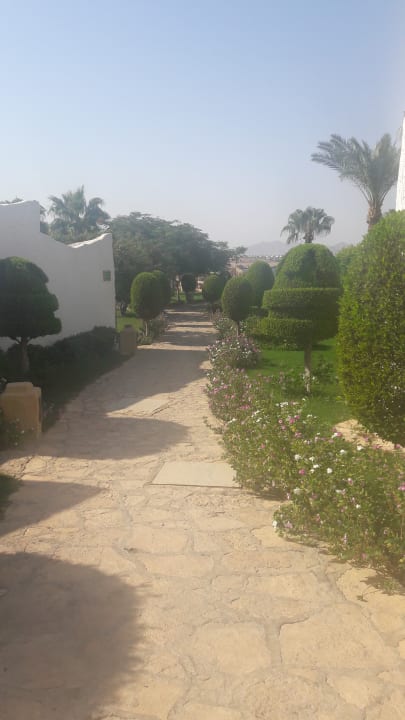 Gartenanlage Sharm Club Beach Resort