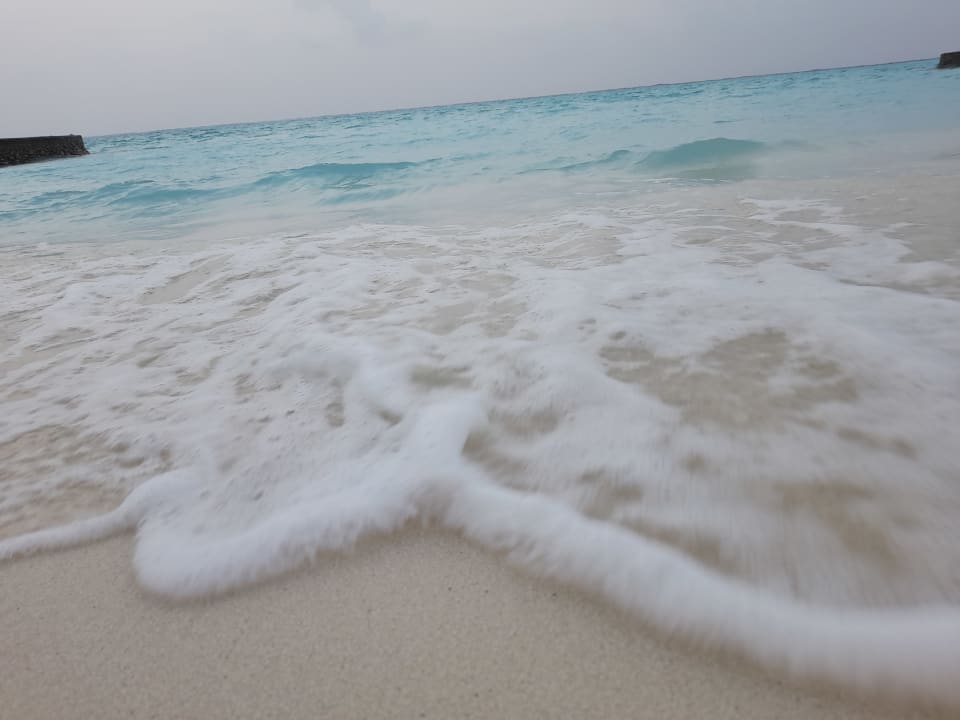 Strand Cinnamon Velifushi Maldives - Free One-Way Speedboat and 02 Kids Under 12 Stay & Dine Free