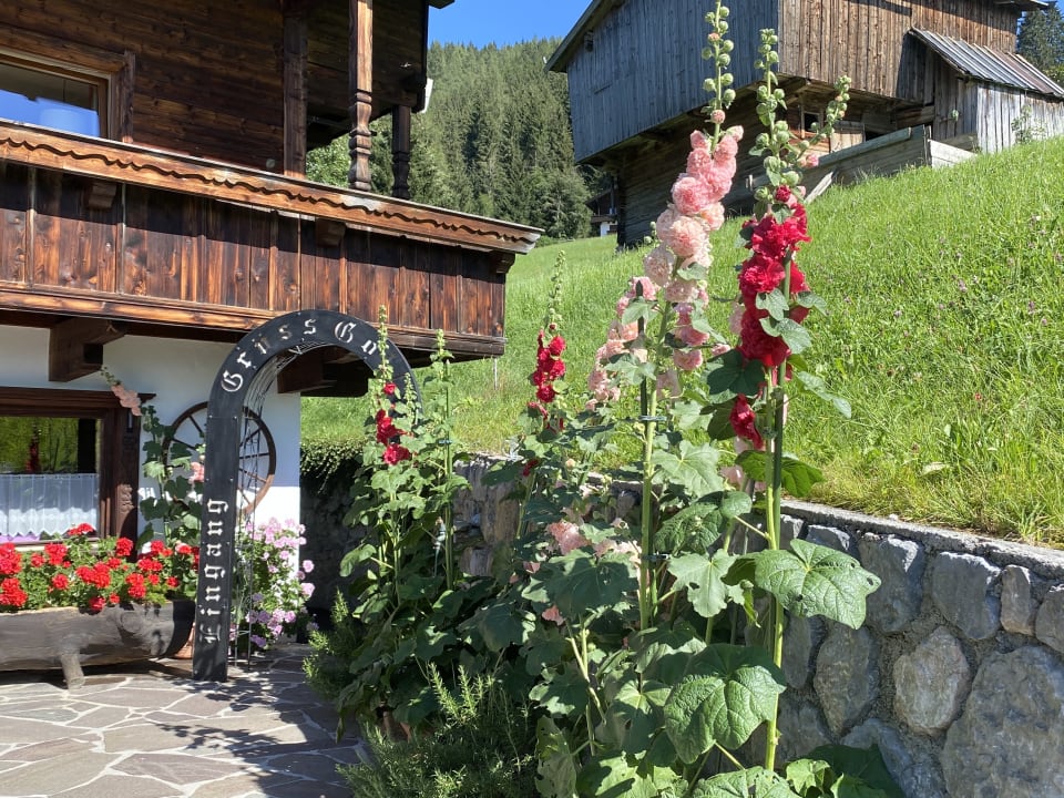 Gartenanlage Bergwald-Appartements -Alpbach
