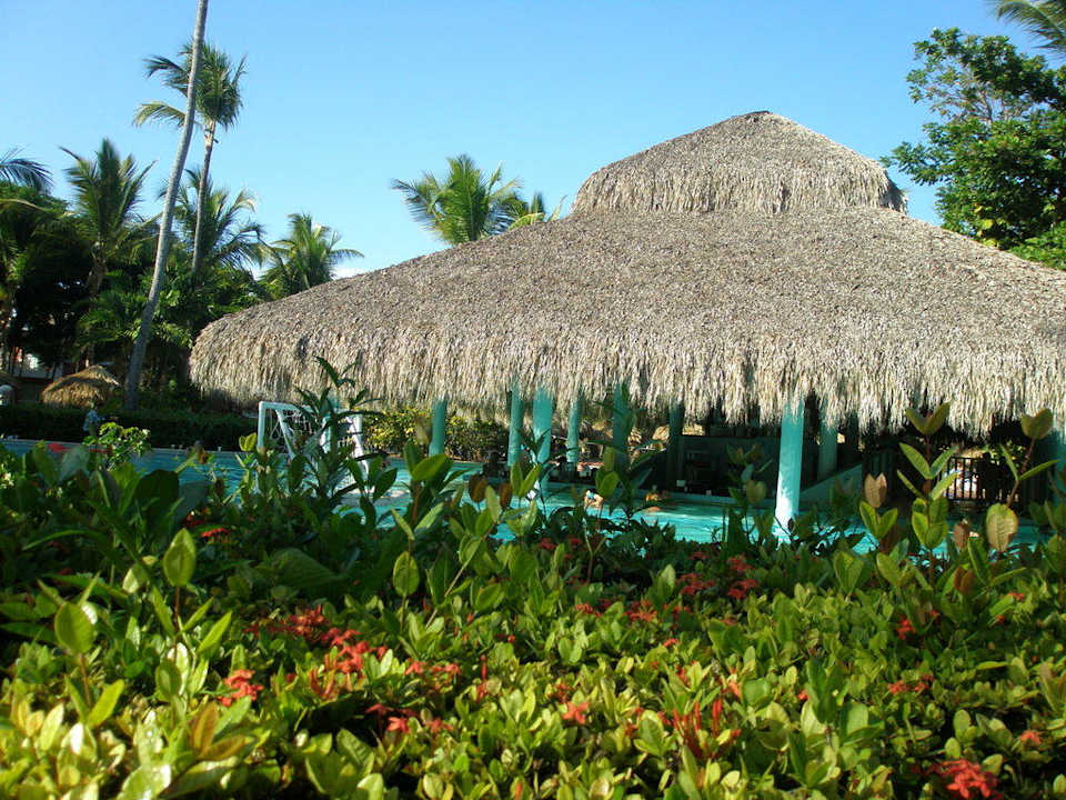 Swim up bar Grand Palladium Select Bávaro Resort & Spa