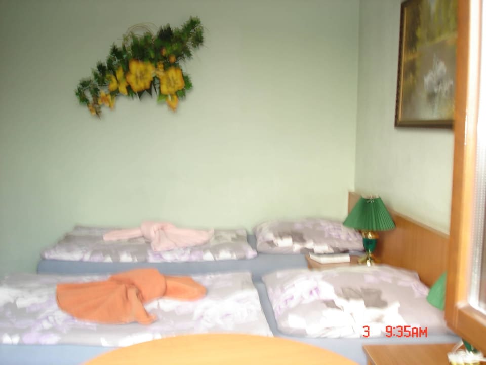 DZ Pension zum Schwanenteich