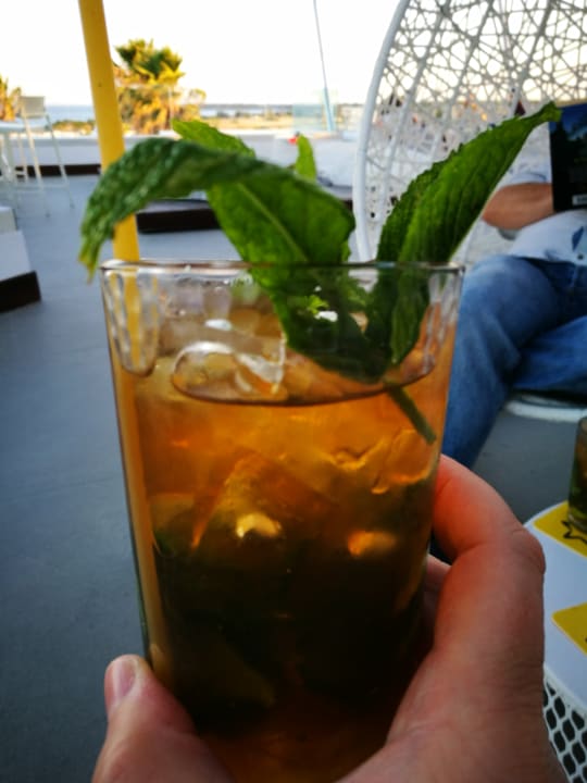 Gastro Atlantica Plimmiri