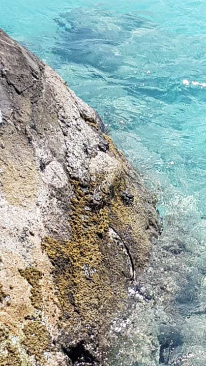 Krabben Adaaran Select Meedhupparu Island Resort - Premium All Inclusive