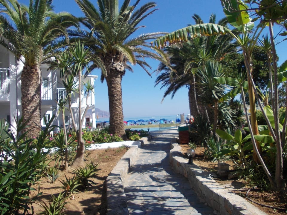 Weg zum Strand HARPIN Happy Days Beach Hotel