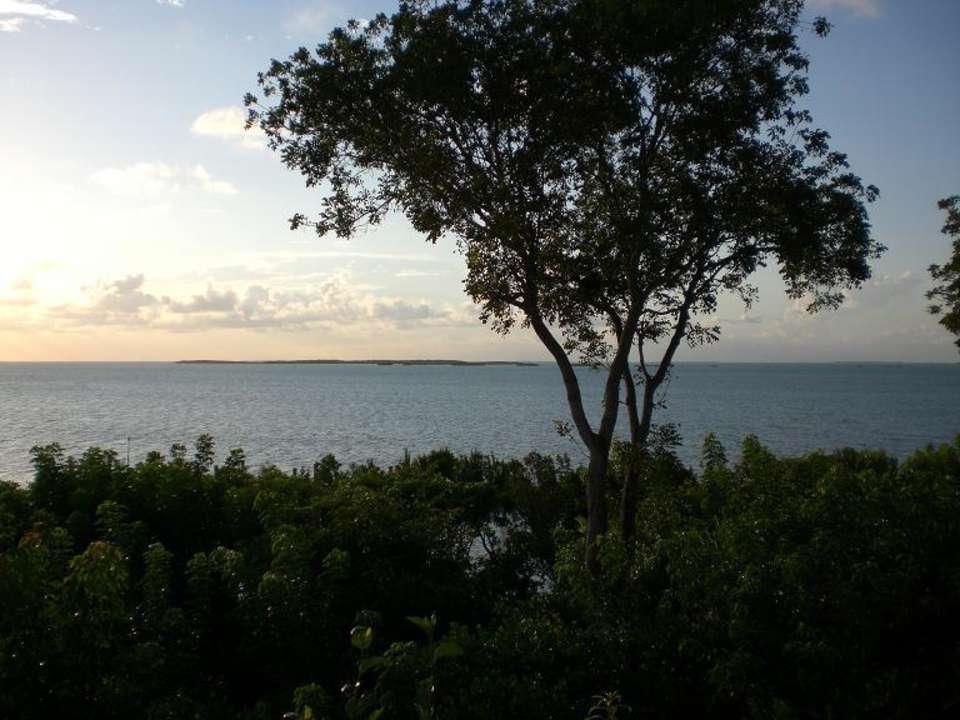 Blick von der Restaurantterrasse Hotel Hilton Key Largo Grande Resort