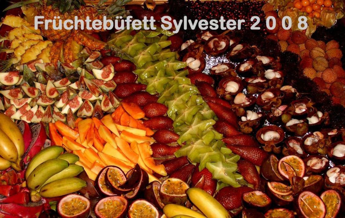 Sylvester 2008 Hotel Gut Schmelmerhof